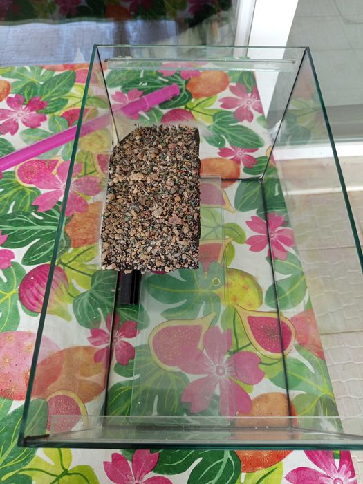 turtle aquarium63824737542273121