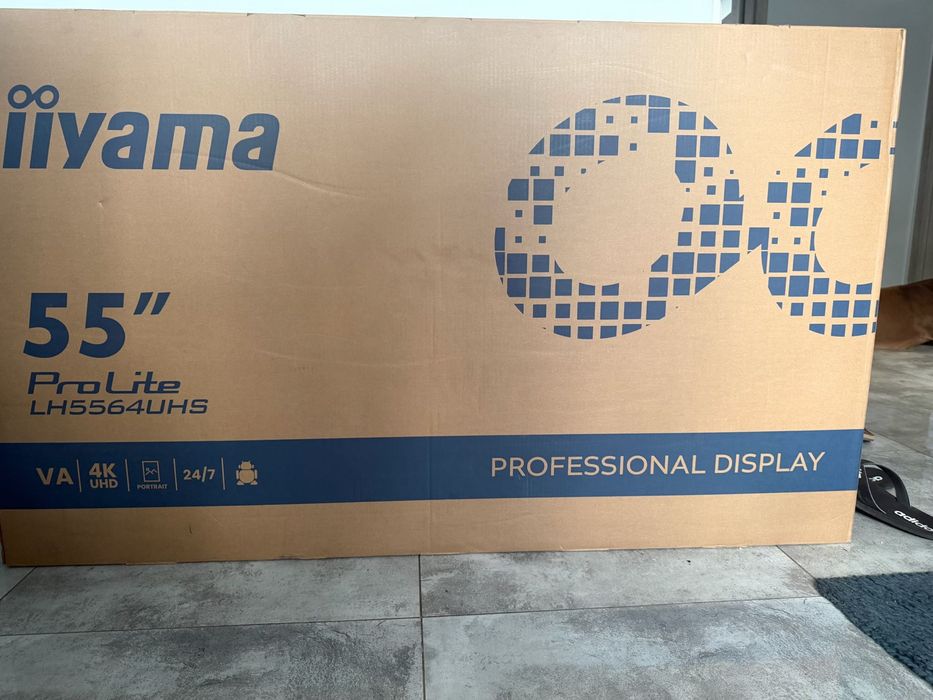 Monitor 55 iiyama