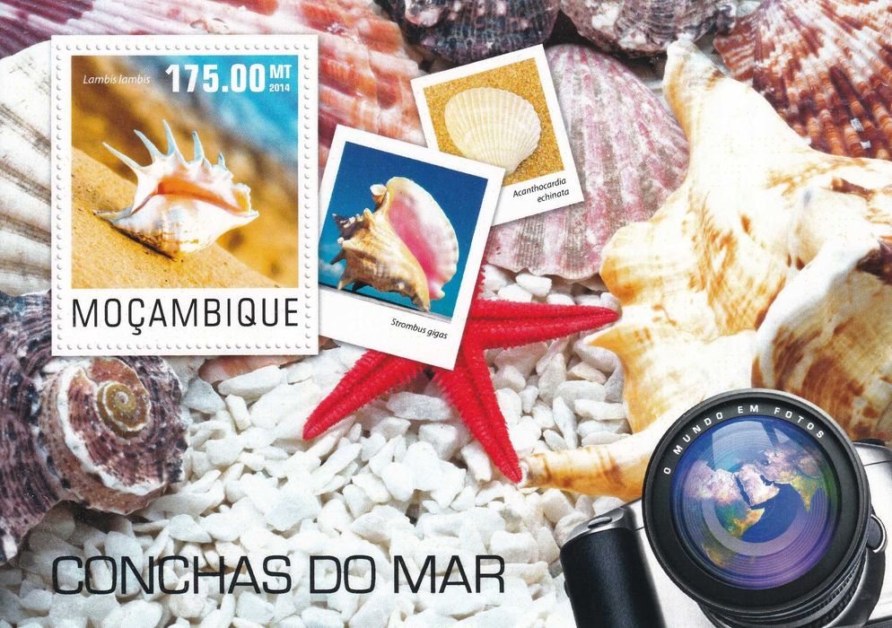 znaczki pocztowe czyste - Mozambik 2014 kat.8€ - fauna, muszle