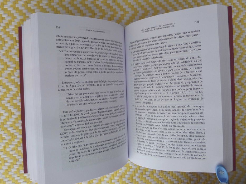 Justiça Entre Gerações - Perspetivas Interdisciplinares