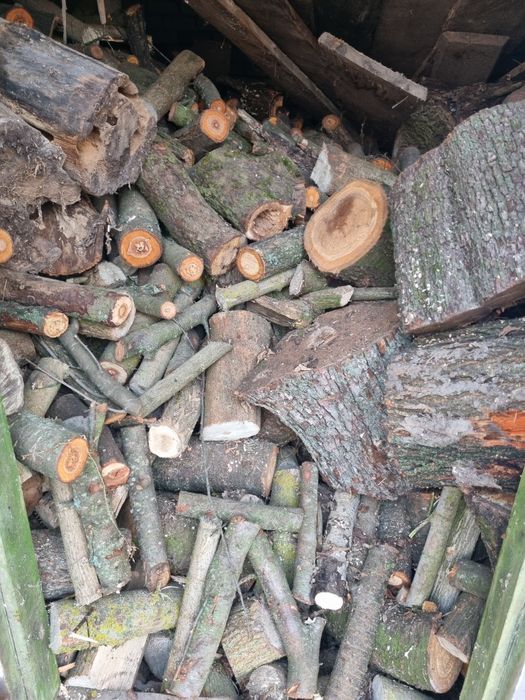 Дрова змішаних порід