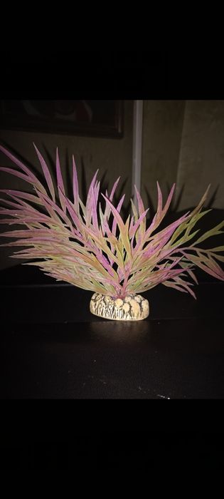 Продам аквариум угловой