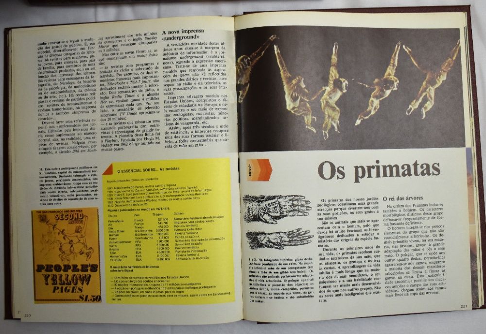 Enciclopédia Juvenil Alfa Estudante