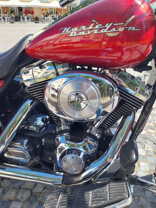 Road King vendo contrariado