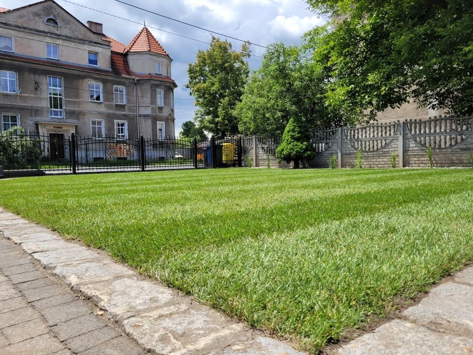 Usługi ogrodnicze