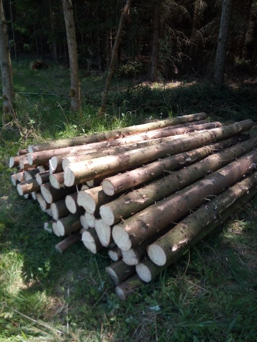 Słupki ogrodzeniowe leśna siatka