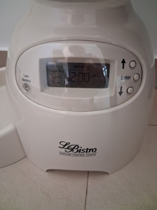 Comedouro automático para gatos ou cães
