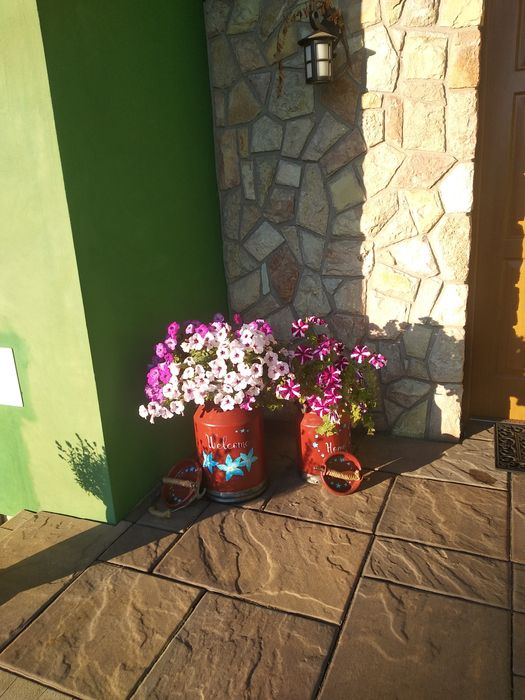 Kanki, donice, prezent