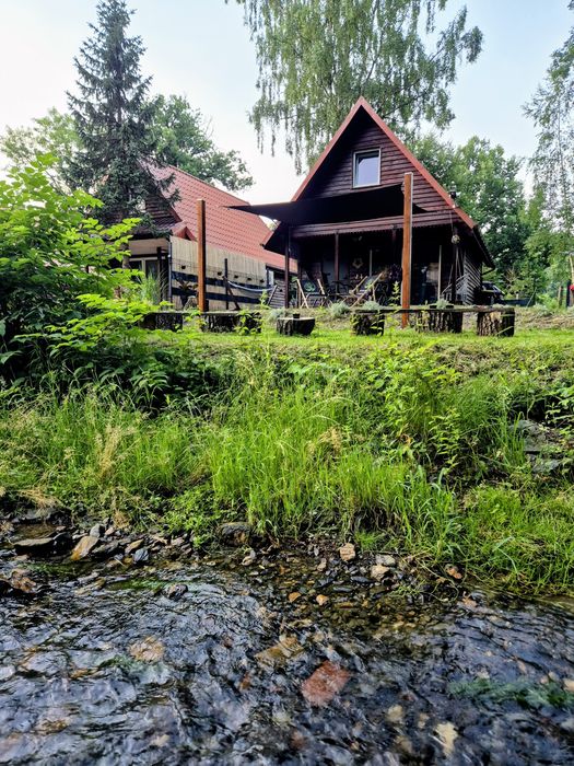 Wynajmę domek w Górach Opawskich w Pokrzywnej