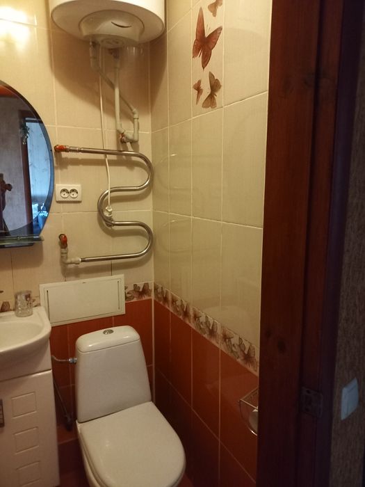 Здається подобово однокімнатна квартира в центрі міста.