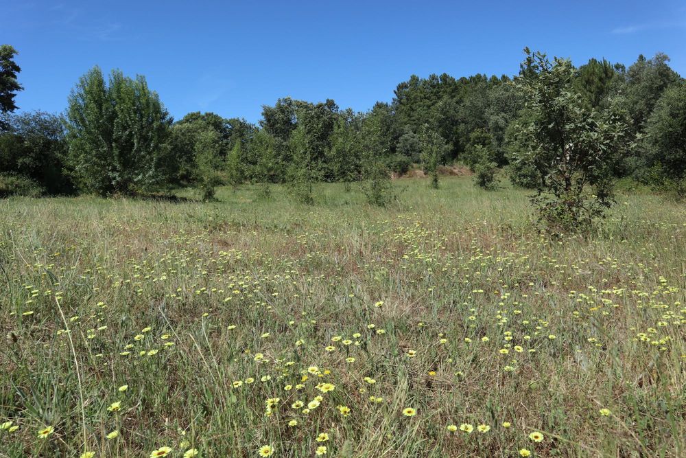 Quinta de 3,6 hectares com ruínas e terreno urbano em Alcaide
