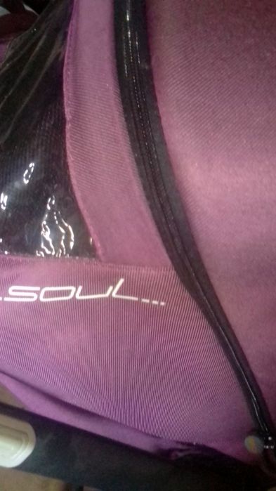 Візок EASY GO SOUL purple 2в1