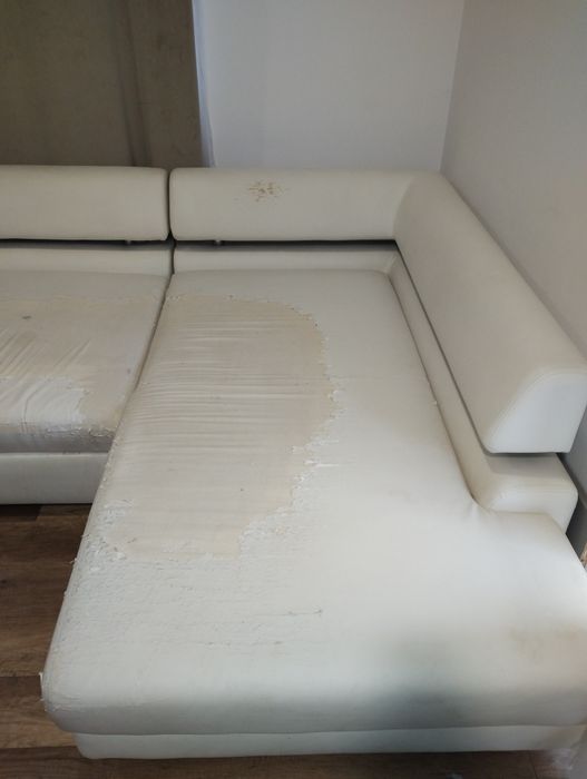 Rogówka razem z pokrowcem