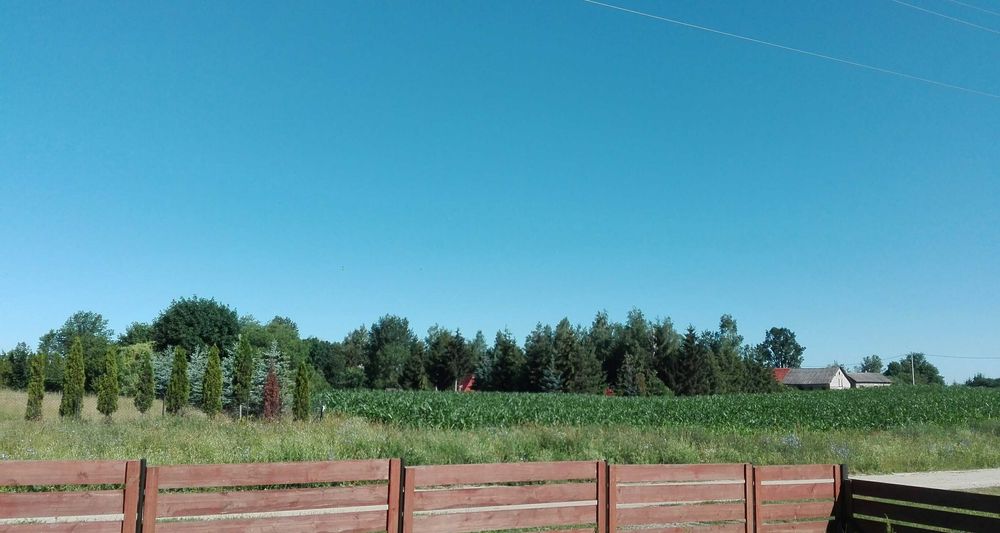 Nowe Guty 102 - domki letniskowe nad Śniardwami - Mazury