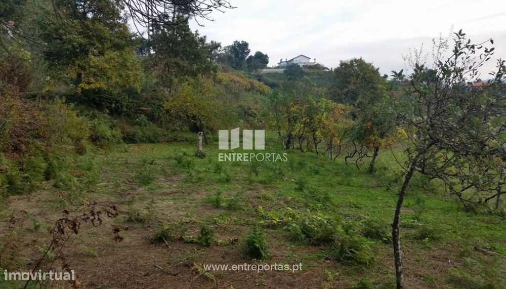 Farm for Sale, Penhalonga, Marco de Canaveses