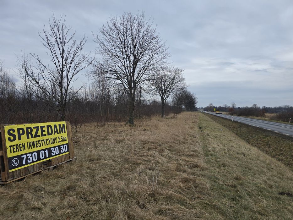 Grunt inwestycyjno-mieszkaniowy 2,55 ha | MPZP | DK5 / S5 | Wszemirów