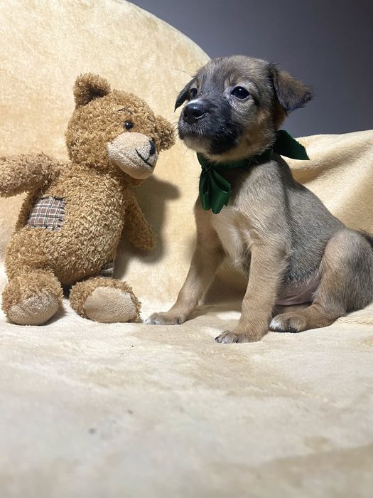 Чудо хлопчик чекає на тебе