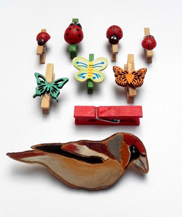 Przypinka ptak + klamerki dekoracyjne motyle broszka pin spinacze