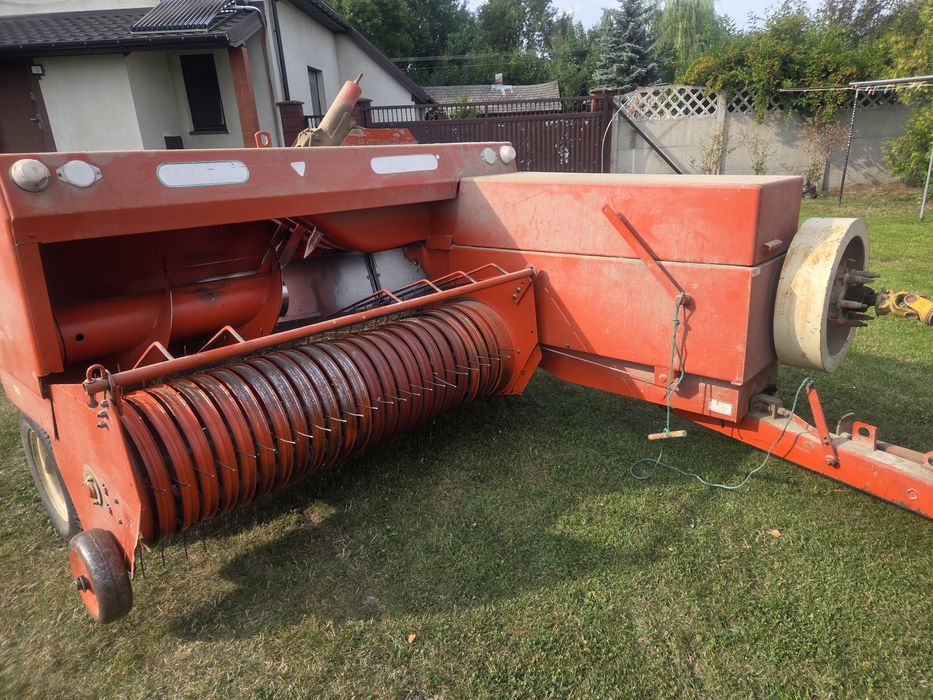 Sprzedam Prase SIPMA 224