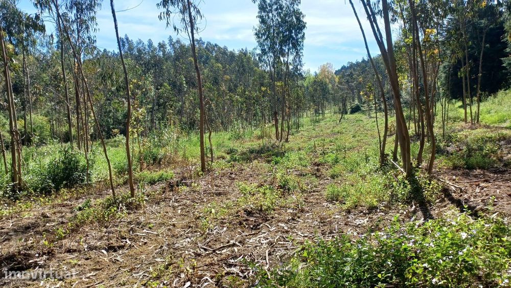 Terreno - Vila Nova da Barca - Venda