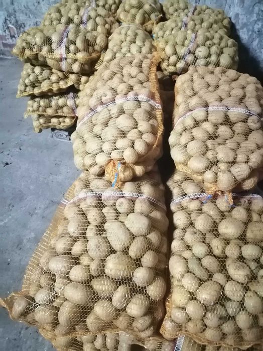 marchew i buraki odpadowe dzwierząt.