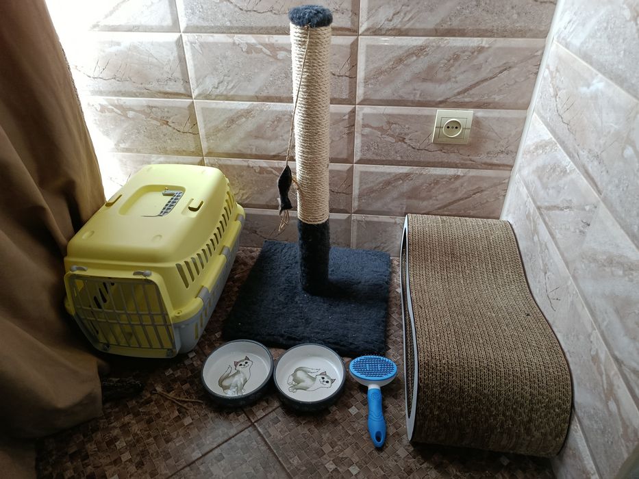 Когтеточка, лежанка, переноска для кота, миски для кошки