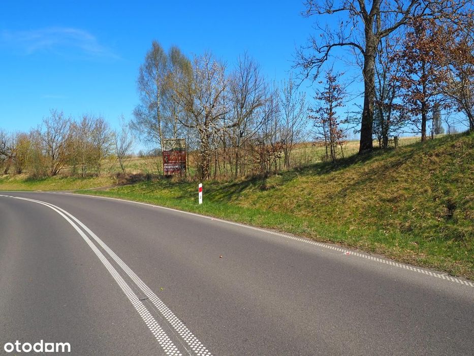 Działka inwestycyjna w świetnej lokalizacji! - Widok 2