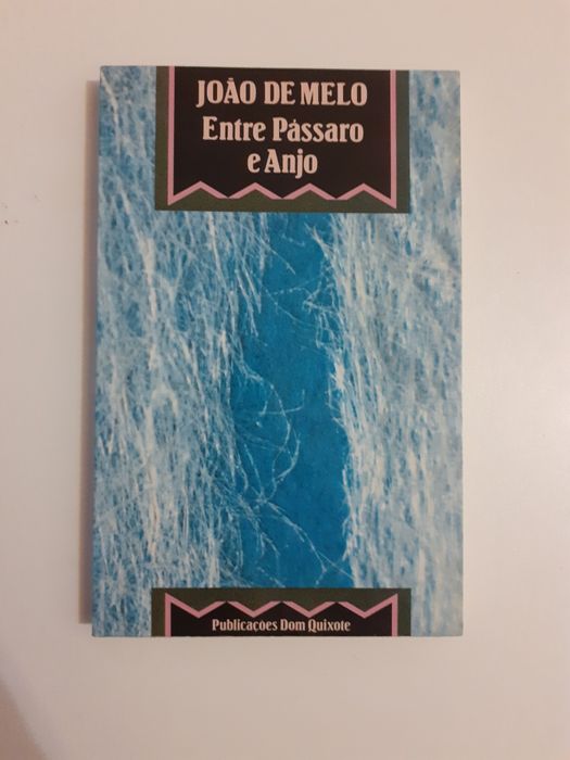 João de Melo, entre pássaro e anjo