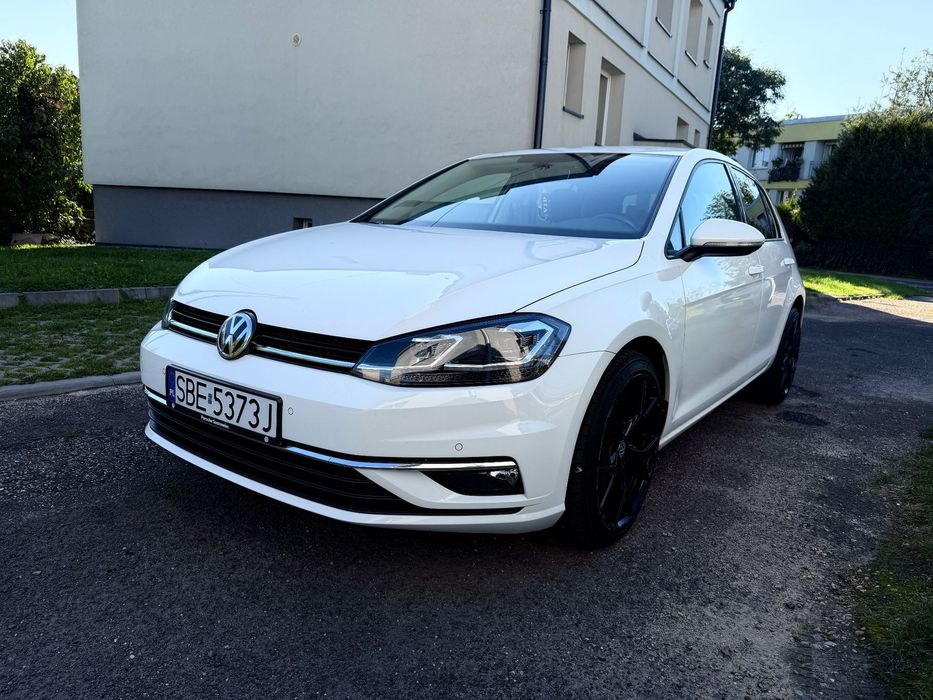 Volkswagen Golf VW Golf 1,6 TDI Highline 2019r. Historia ASO