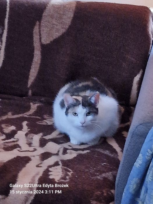 Kotka-Kropka do oddania