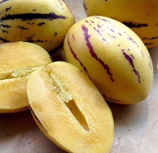 Продам саджанці Пепино