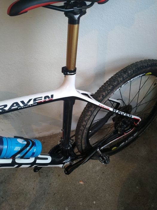 Focus carbono como nova com rodas mavic.