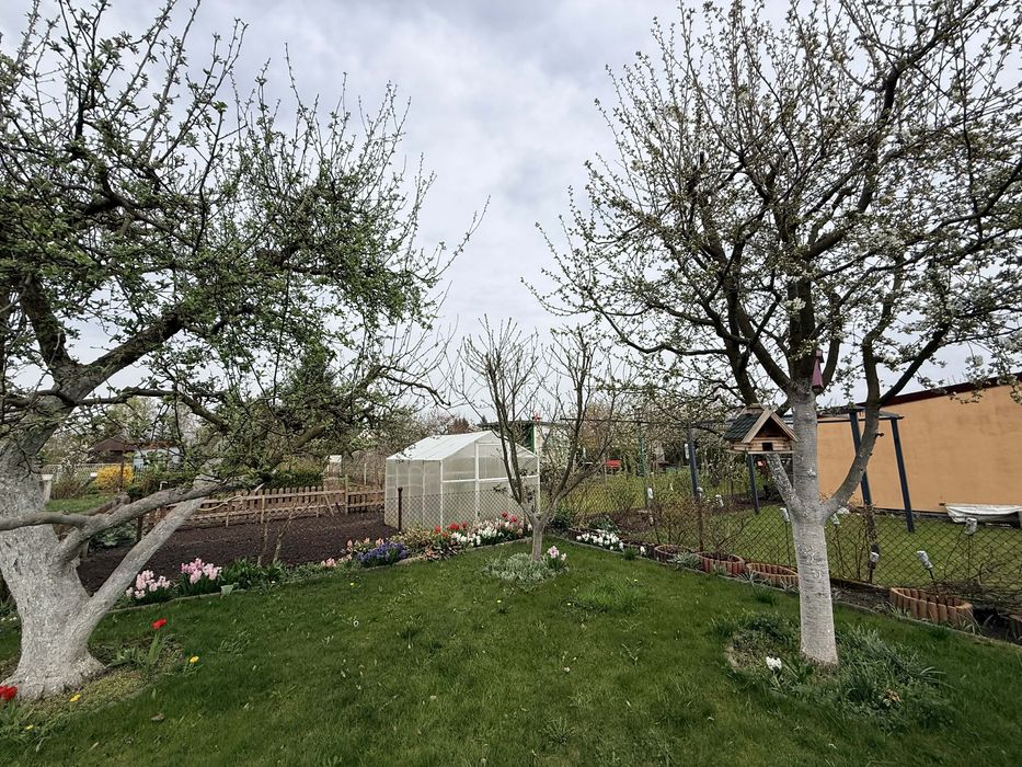 Działka rekreacyjna ogrodowa ROD „Niezapominajka” 3 ary, 300m2
