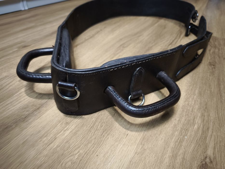 Pas do woltyżerki brązowy pony-cob