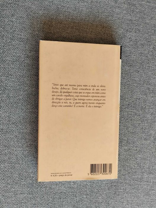 Livro "As ondas" de Virginia Woolf