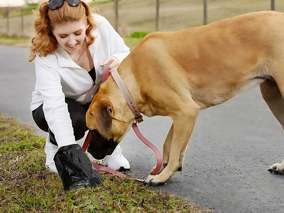 Woreczki na psie odchody kupy torebki worki 50 rolek mocne + dyspenser