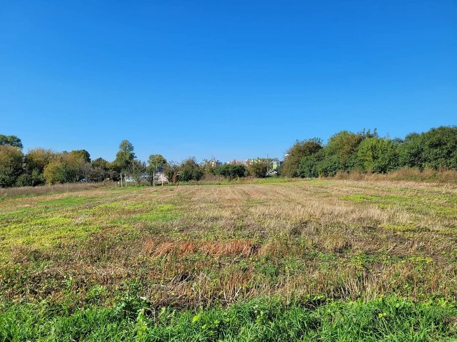 Продаж земельної ділянки 17 сот комерційного призначення,В. Березовиця