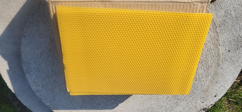 Węza Pszczela Wielkopolska,Dadant 55zl/ kg