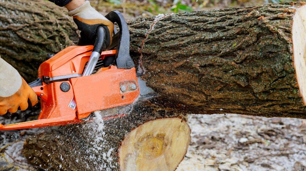 Oferujemy szeroki zakres usług. Bud&Green