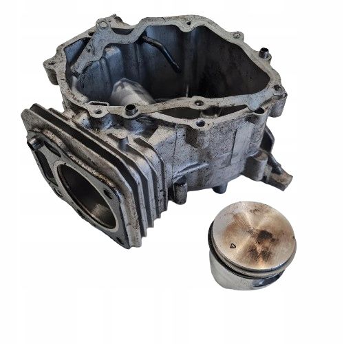 Cub Cadet Cc 550 Sp Cylinder Tłok Komplet