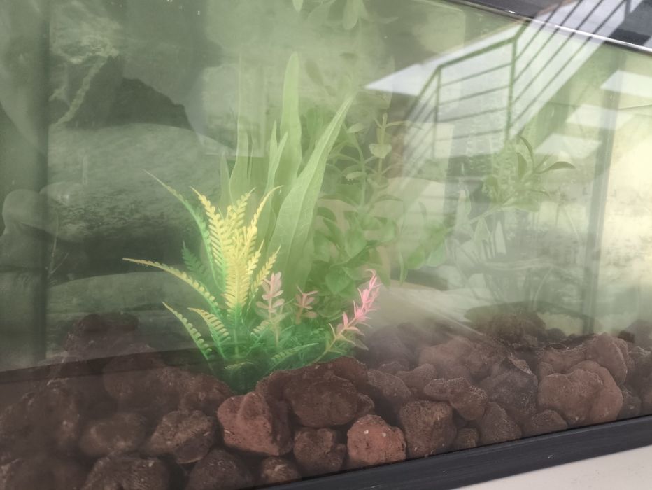 Aquário 40 x 25 x 20