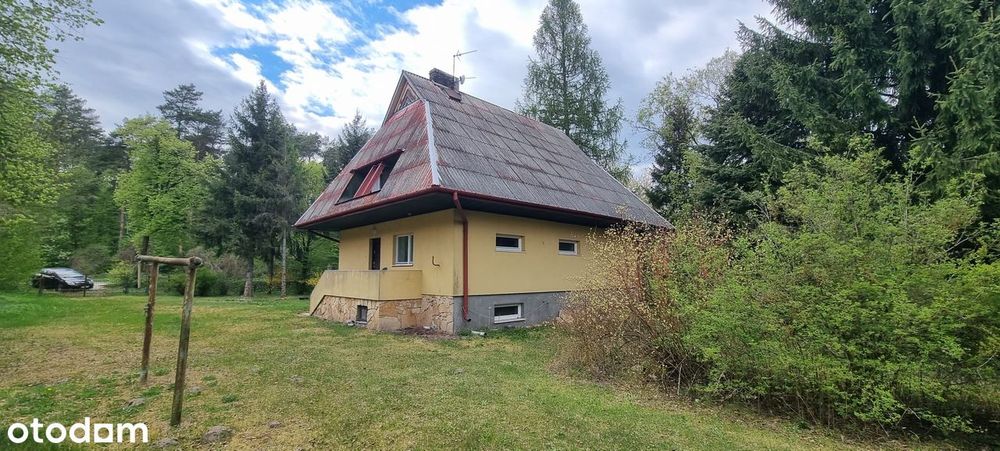 Kazimierz Dolny okolice | cena 690 tys.| duża działka z lasem