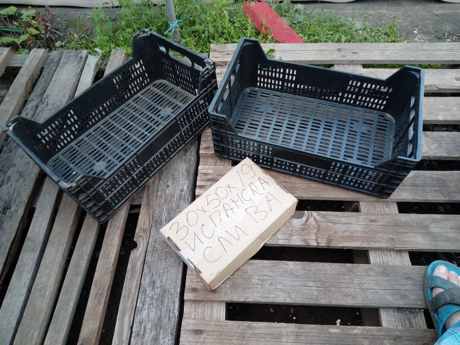 Ящики пластиковые пластмассовые овощные