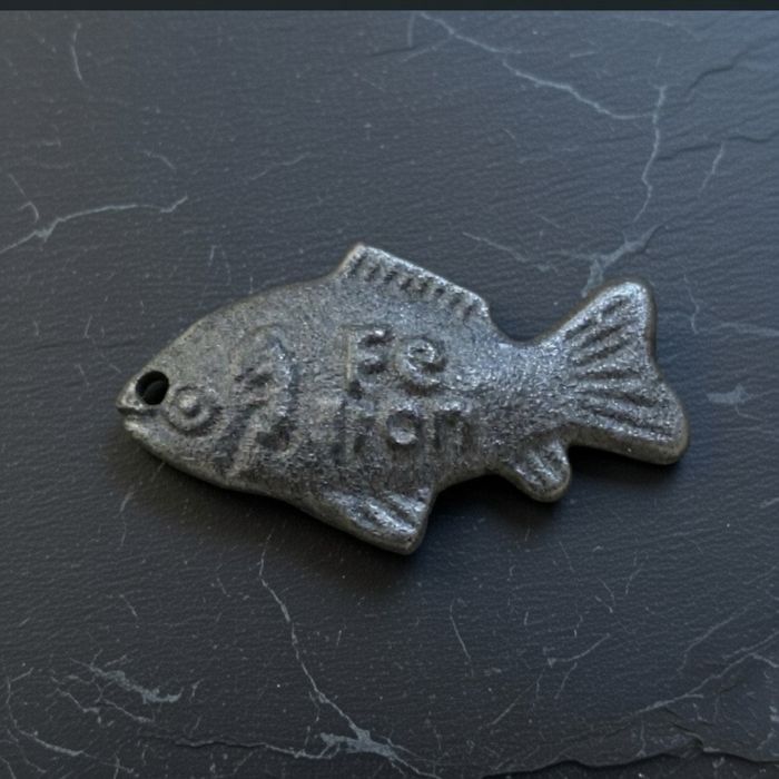 Залізна рибка Lucky Iron Fish FE при анемії та дефіциті заліза