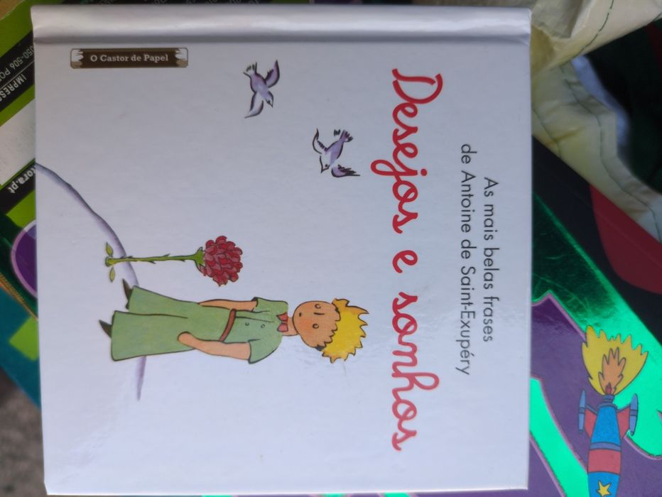 Desejos e Sonhos as mais belas frases de Antoine de Saint-Exupéry