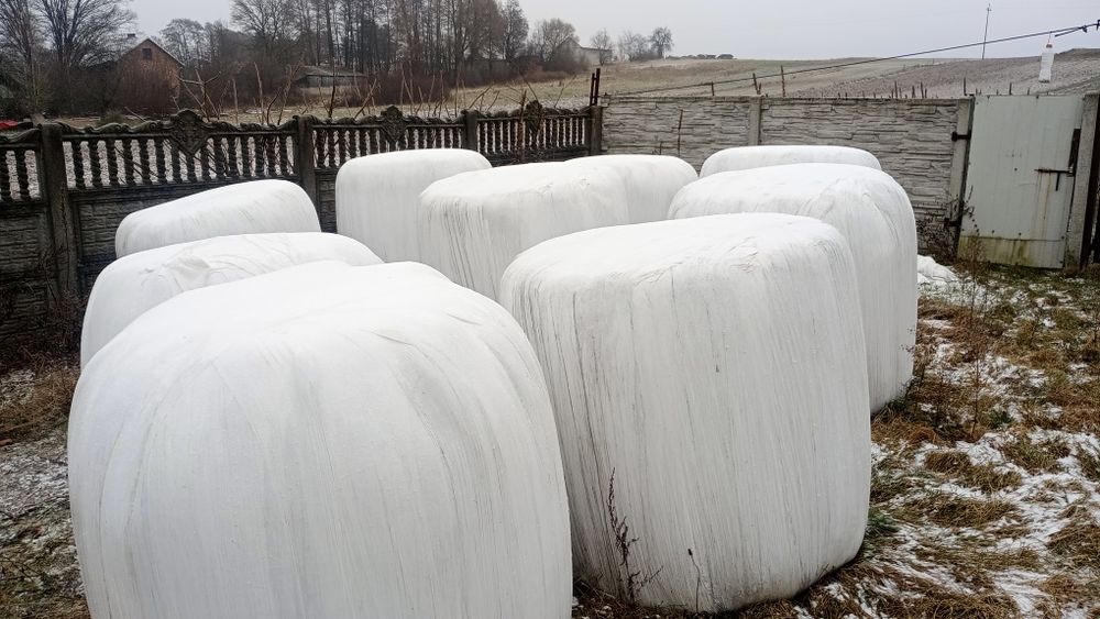 Sianokiszonka z trawy