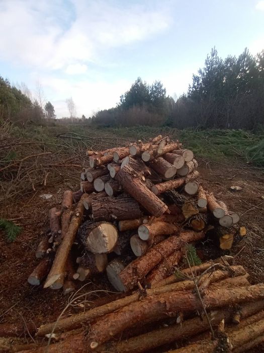 Продам ДРОВА маємо документи