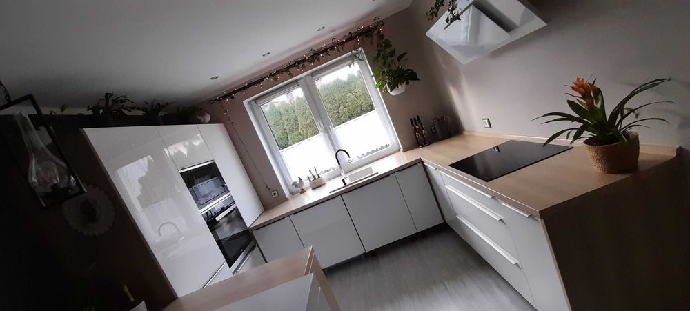 Mieszkanie 5pok./89m2/164m2 bezczynszowe