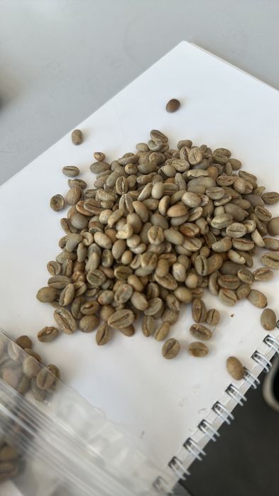 Кава ЗЕЛЕНА гурт (опт)