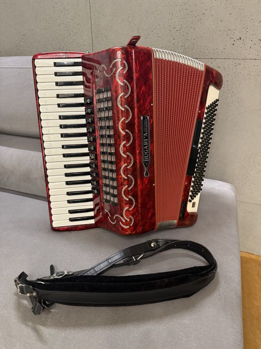 Akordoen Bugari Armando seniorfisa